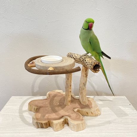 ツタとカクタス アリスのお茶会テーブル