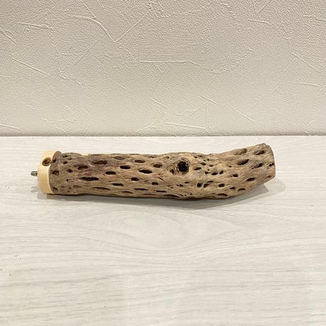 カクタスパーチ【1】小 直径約3-4cm/20cm