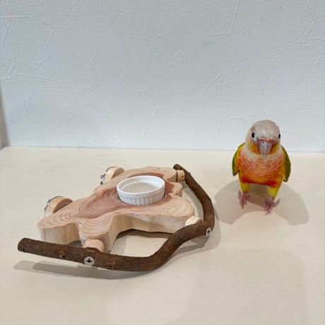 おやつ入れ付き貝塚伊吹のテーブルパーチ【インコのおやつ入れ】
