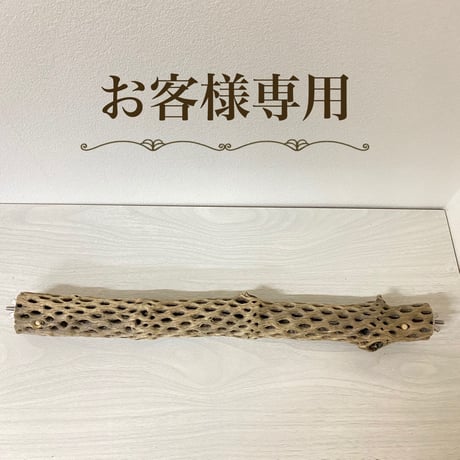 【parakeet_micho様専用】ケージサイズカクタスパーチ HOEI465 オカメ