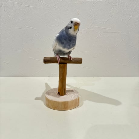 セール バードスタンド 止まり木 高さ調整機能付 インコ オウム ヨウム