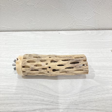 カクタスパーチ小　直径約3.5cm 長さ11.5cm