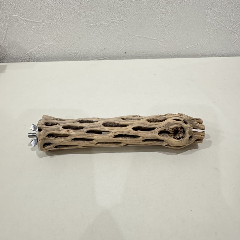 カクタスパーチ【⑪小】15cm 直径約3.5cm【サボテンの骨 バンブル