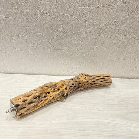 カクタスパーチ⑰ 小サイズ長さ28cm