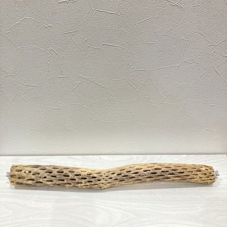 ケージサイズカクタスパーチ② 小サイズ直径3-4cm HOEI465サイズ
