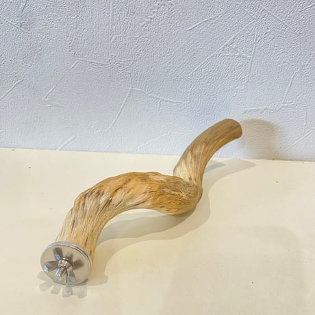 自然木（ツタ皮無し）パーチ 直径約2.5cm/長さ19cm