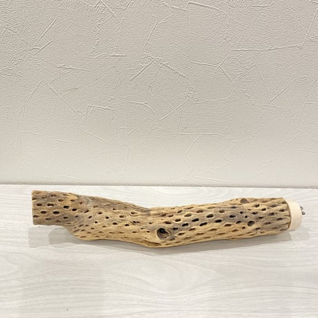 カクタスパーチ④ 中直径約5.5cm/33cm