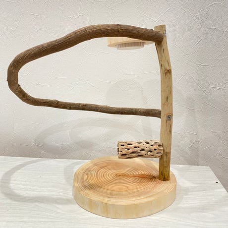 ツタのぐるりんスタンドパーチ　カクタスとオヤツ入れ付き