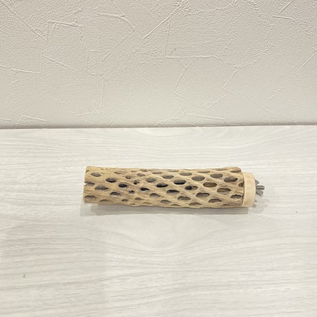 カクタスパーチ① 小直径約3.5cm/15cm