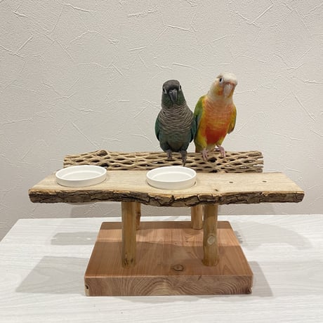 おしゅし屋さんカウンタースタンド