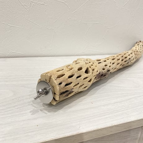 ケージサイズカクタスパーチ  小サイズ④（直径3-4cm）HOEI465