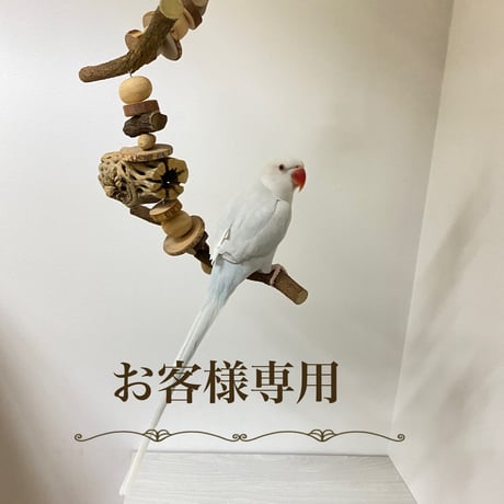 【yae23yae様専用】おでんくん【シロハラサイズ】カクタスと天然ウッドビーズのゆらゆらおもちゃ