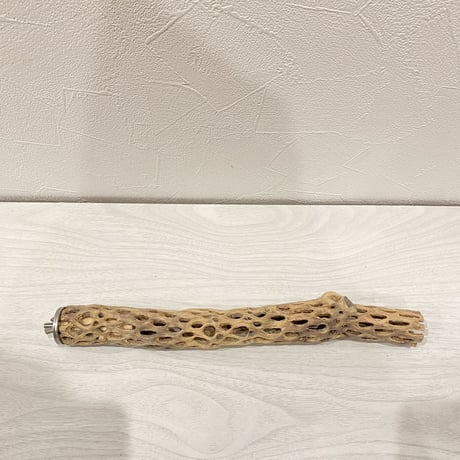 【hiro.yuri71様専用】カクタスパーチ 小サイズ 28cm