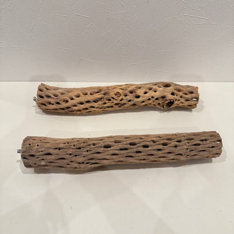 【sumi_haku様専用】カクタスパーチ 直径約5-5.5cm/長さ35cm【インコ 止まり木 バンブルフット予防】