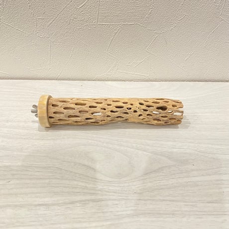 カクタスパーチ極小④ 2-3㎝長さ17cm