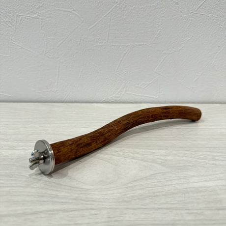 自然木（ツタ）パーチ⑥ 直径約1.7cm/長さ22cm