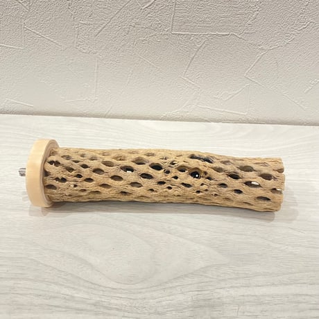 カクタスパーチ小 ⑥直径3~4cm 長さ17.5cm