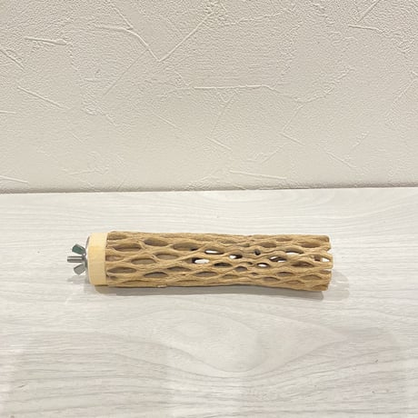 カクタスパーチ②  極小 直径3cm前後 長さ15cm