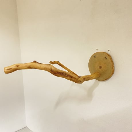 ピノキオの鼻 ⑥