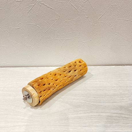 カクタスパーチ②中サイズ長さ17cm