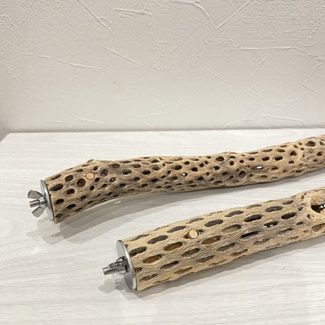 【Arisa_h様専用】ケージサイズカクタスパーチ 極小サイズ直径2-3cm HOEI465サイズ