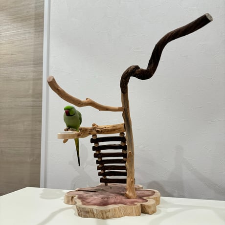 自然木（ツタ・貝塚伊吹）とハシゴのバードアスレチック【インコのおもちゃ・自然木のとまり木】