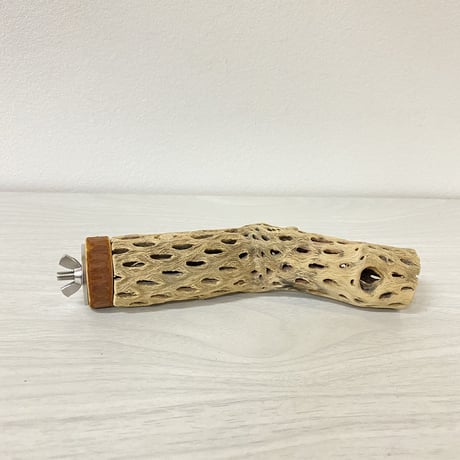 カクタスパーチ⑫ 極小サイズ 直径（約2-3cm）長さ/15cm