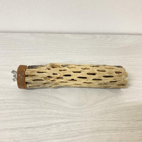カクタスパーチ⑤ 小サイズ 直径（約3-4cm）長さ/16cm