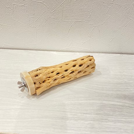 カクタスパーチ④小3-4㎝長さ15㎝