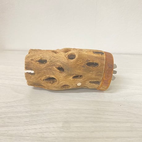 カクタスパーチ中サイズ直径（約5.5cm）／8.5cm ②