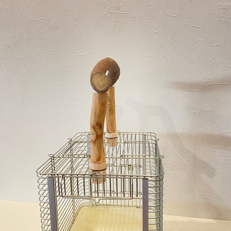 使い方いろいろ 屋上ツタパーチ　横30cm 高さ16~20cm