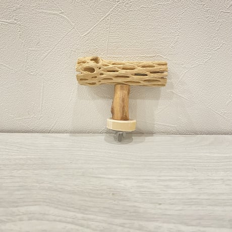 カクタスのT字パーチ③ HOEI35サイズ