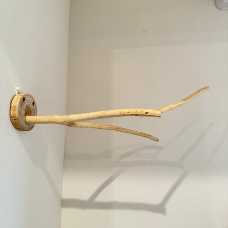 桧のピノキオの鼻 ⑦