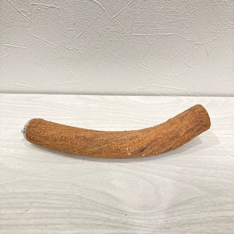 自然木（ツタ）パーチ 中　20cm