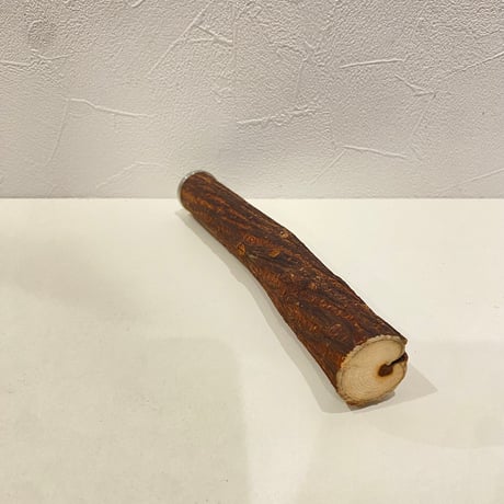 自然木（ツタ）パーチ 直径2.7~3cm/長さ20cm