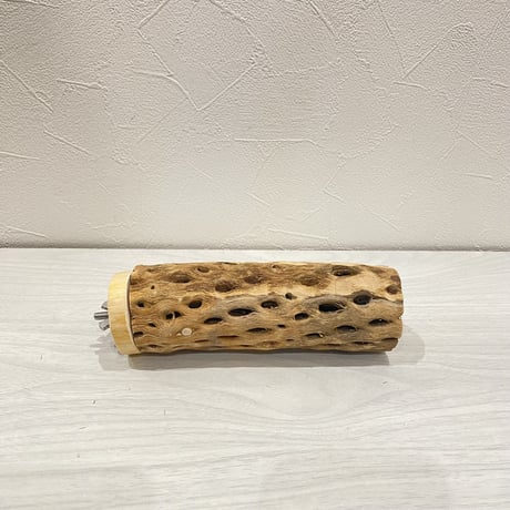 カクタスパーチ【1】中直径約5.5cm/15cm
