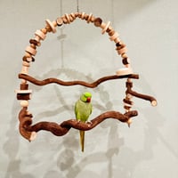 【中型鳥用】トロピカルWood♫螺旋状穴ポコバードアスレチック 中型鳥用】トロピカルWood♫螺旋状穴ポコバードアスレチック