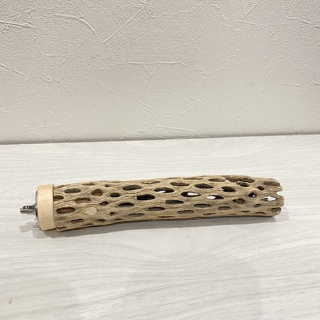 カクタスパーチ⑬ 極小サイズ直径3cm前後/18cm