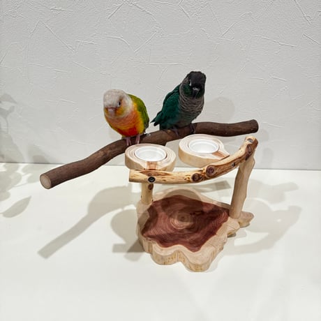 CATEGORY スタンドパーチ | 自然木の鳥用品 鳥豆堂【トリマメドウ