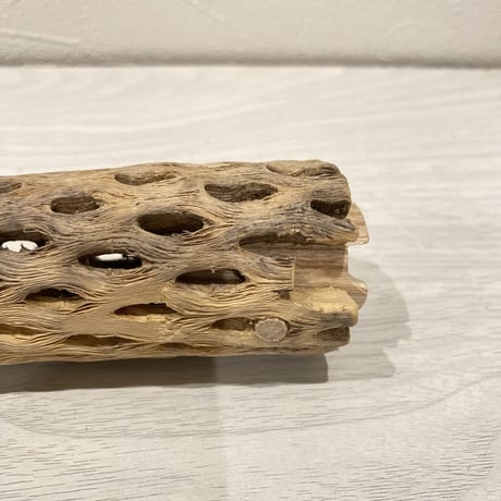 【あやおっさん様専用】カクタスパーチ 小サイズ43.8cm