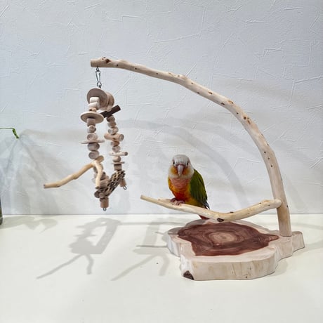 貝塚伊吹とカクタスブランコのスタンドパーチ【インコのおもちゃ 天然木 自然木】