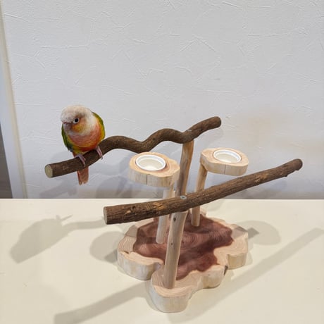 ツタと貝塚伊吹のおやつれつきスタンドパーチ【インコのおもちゃ・ブランコ・自然木のとまり木】バードアスレチック
