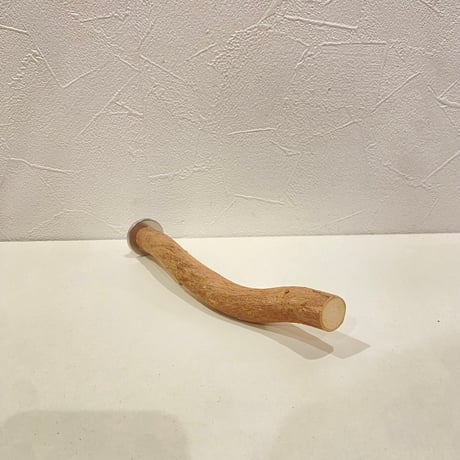 自然木（ツタ）パーチ⑥  直径約1.8cm/長さ19cm