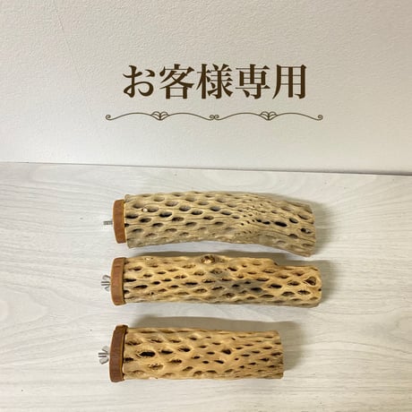【mei様専用】カクタスパーチ 直径5.5cm前後／20cm 直径3～4cm／15cm・20cm