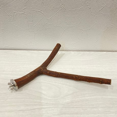 自然木（ツタ）パーチ⑧ 直径約1.4~1.8cm/最長25cm