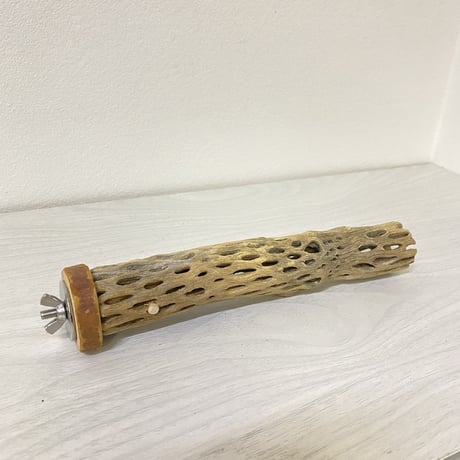 カクタスパーチ⑮ 極小サイズ 直径（約2-3cm）長さ/20cm  のコピー