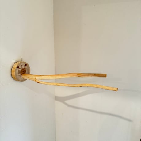 桧のピノキオの鼻 ⑪