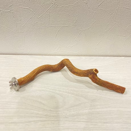 自然木（ツタ）パーチ②