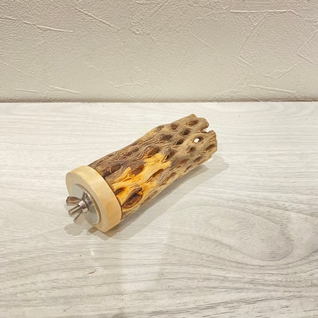 カクタスパーチ【4】直径4~5cm/長さ10cm