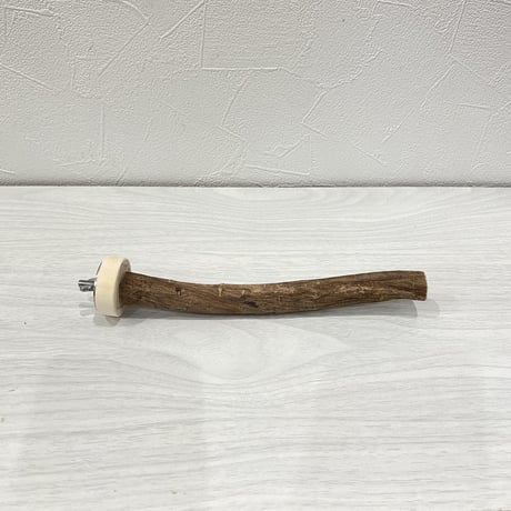 自然木（ツタ）のパーチ⑦